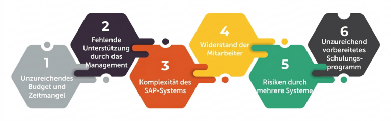 Komplexität des SAP-Systems