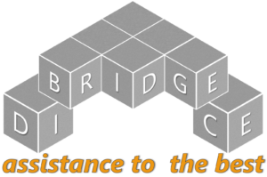 dicebridge logo