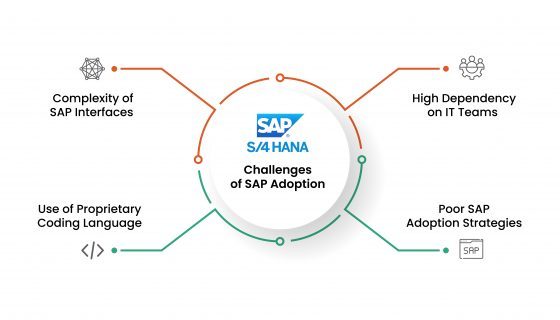 Challenges of SAP Adoption