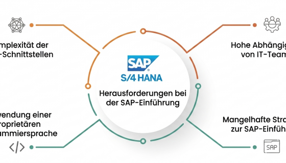 Mangelhafte SAP-Einführungsstrategien